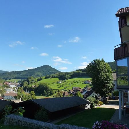 Ferienwohnung Schwarzwaldsteig Bad Peterstal-Griesbach Habitación foto