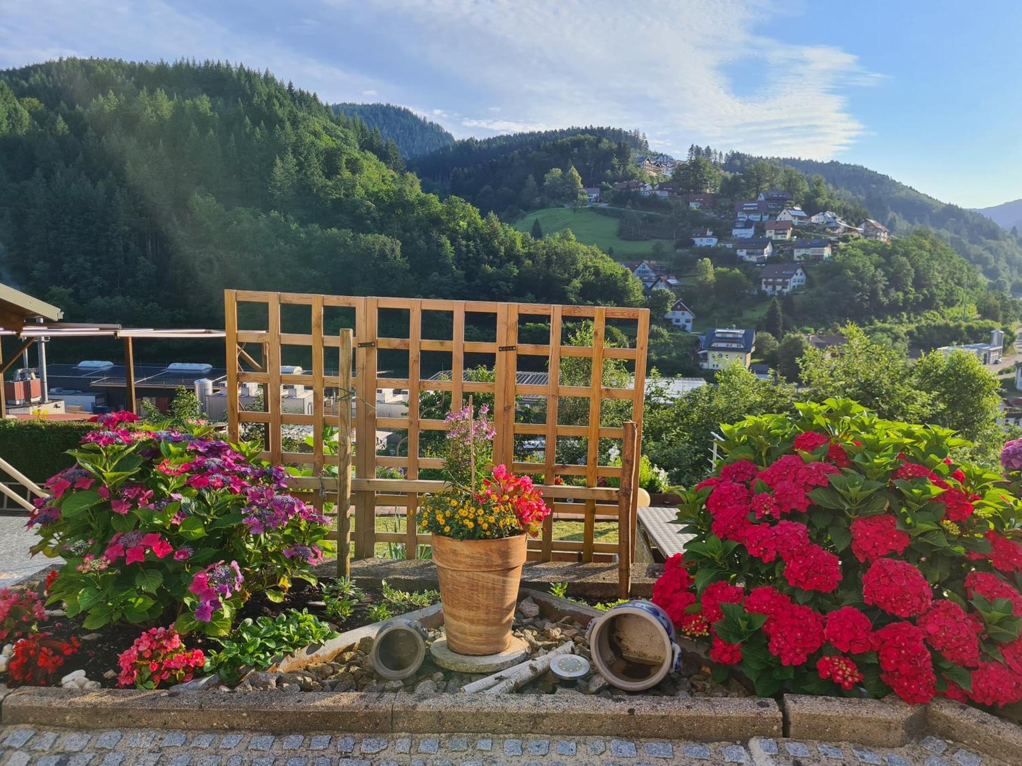 Ferienwohnung Schwarzwaldsteig Bad Peterstal-Griesbach Exterior foto
