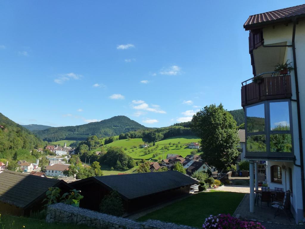 Ferienwohnung Schwarzwaldsteig Bad Peterstal-Griesbach Habitación foto